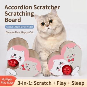 Accordion Scratcher Scratching Board